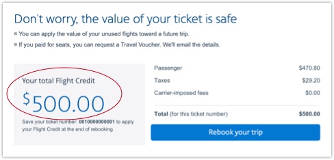 Flight credit on Your trip page
